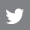 Twitter share icon