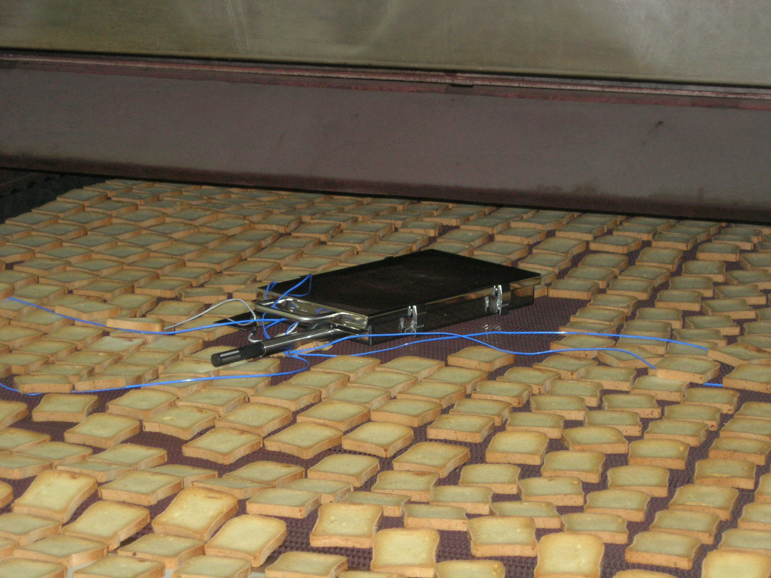 Commercial Food Processing